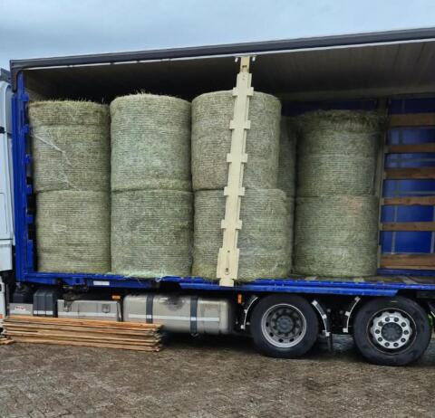 Heu, Heulage, Silage, Grassamenheu, Stroh