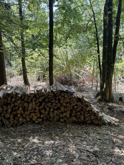 Kieferbrennholz