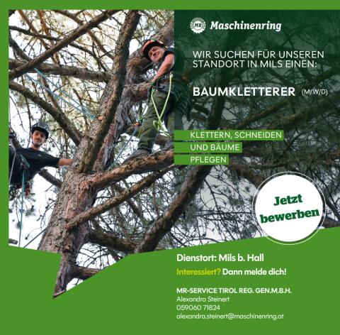 Baumpfleger (m, w, d)