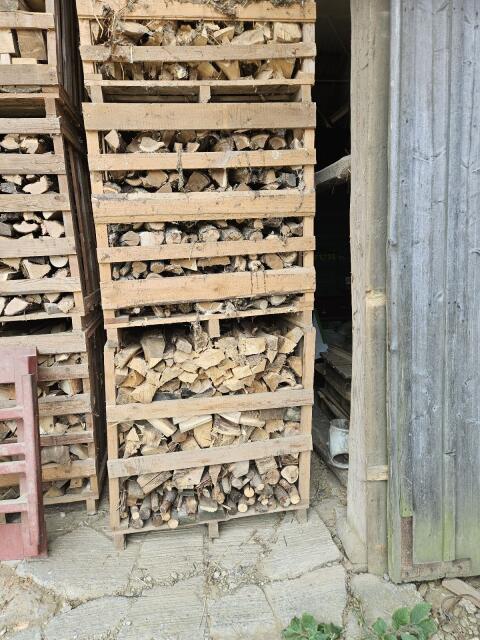 Brennholz