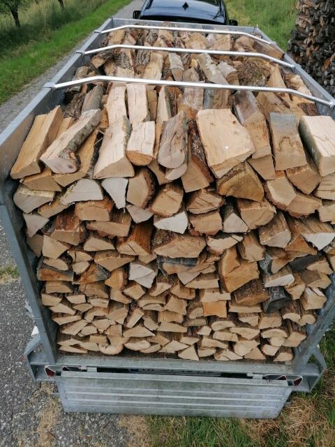 Brennholz-Eiche