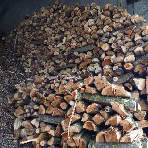 Ofenfertiges Brennholz