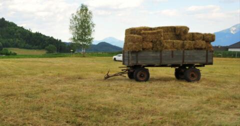 Heu in Kleinballen