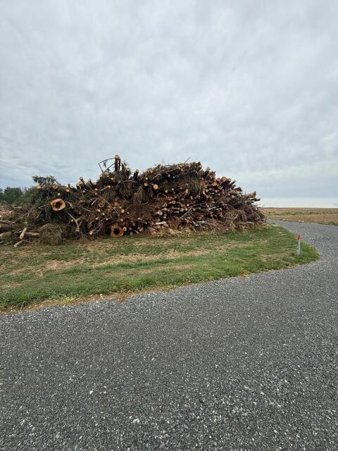 Holz zum Hackgut erzeugen
