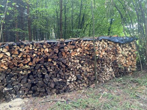 Brennholz