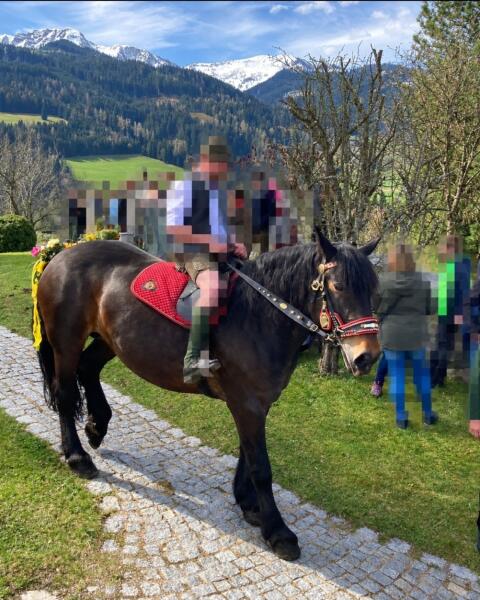 Norikerstute