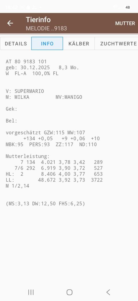 2 Stk. Bio-Jungkalbinnen