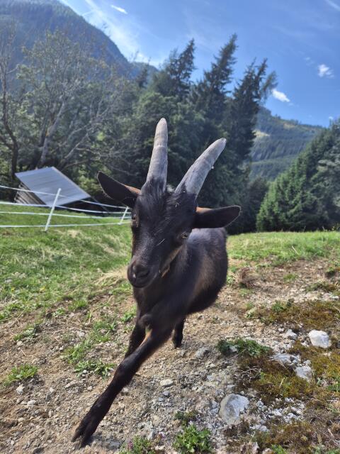 Aosta-Kitzbock