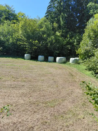 Trockene Rundballen, foliert, 7 Stk.