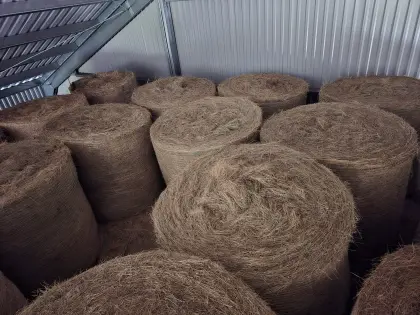 Heu in Rundballen von hervorragender Qualität