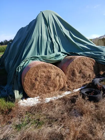 Heuballen zu verkaufen