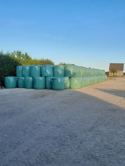 BIO-Maissilageballen