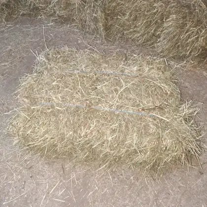 Heuballen HD-Ballen