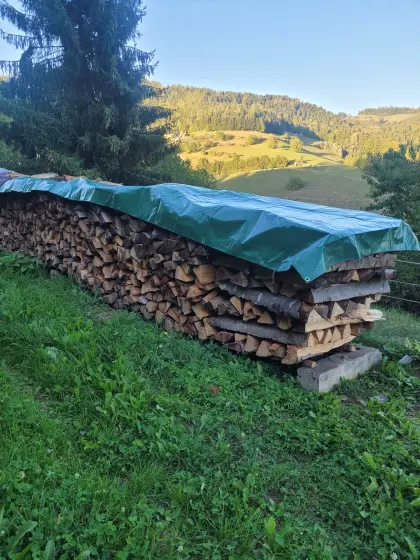 Buchenbrennholz