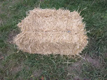 Stroh in Kleinballen