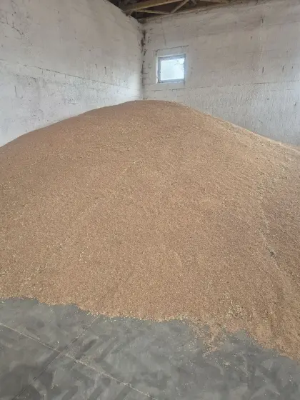 Bio-Triticale