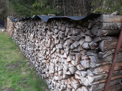 Brennholz Esche
