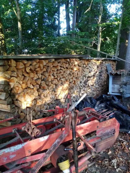 Brennholz