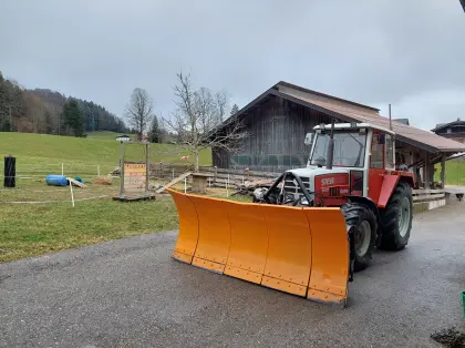 Schneepflug