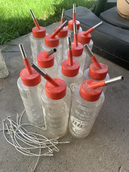 Trinkflasche für Hase, 12 Stk.