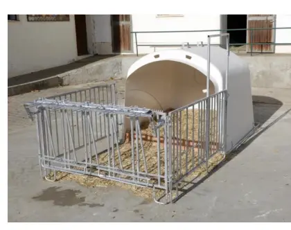 Suche Kälberiglu