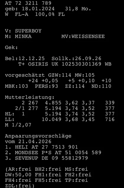 Bio Fleckviehkalbin
