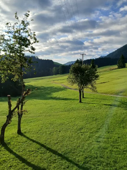 Zu verpachten