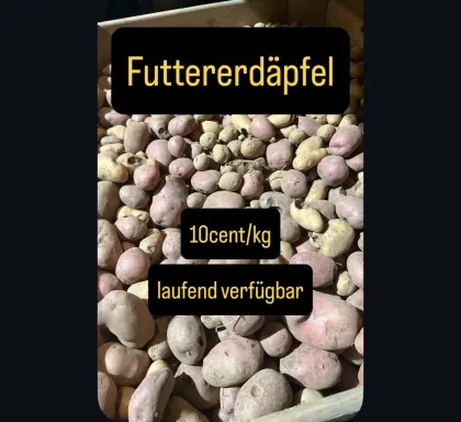 Futtererdäpfel