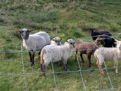 Shropshire