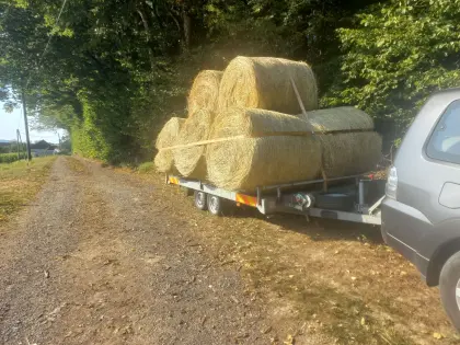 Wiesenheu, Rundballen 150 cm, 1. Schnitt zu verkaufen