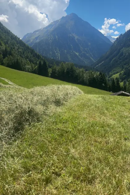 Landwirtschaft zum Weiterführen gesucht