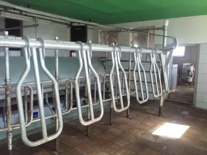 6er Side-by-Side-Melkstand mit GEA Melktechnik