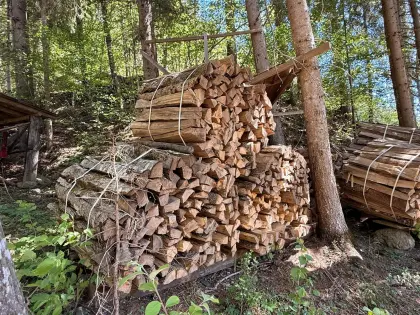 Brennholz, hart, abzugeben