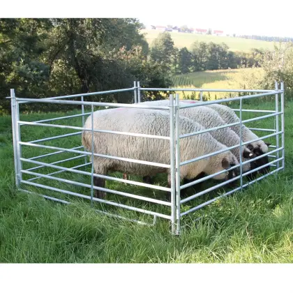 Suche Schafpanel/Steckhorden