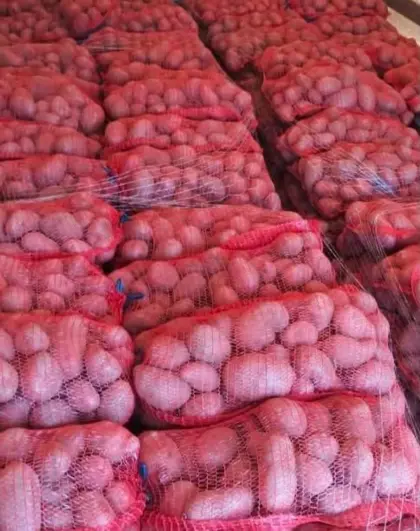 Kartoffeln Delikates