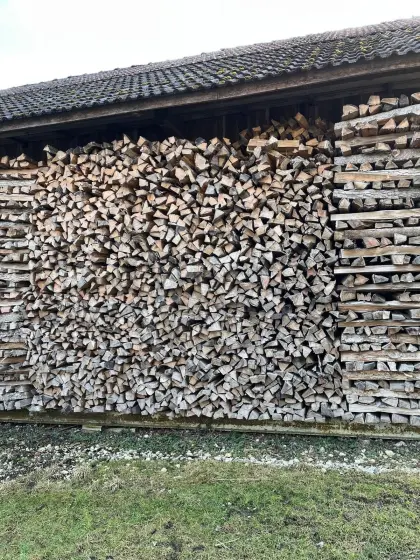 Brennholz