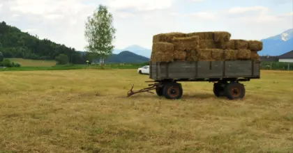 Heu in Kleinballen