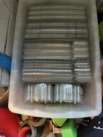 Plastik 12er Wachteleierschachtel