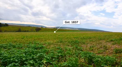 9,27 ha zusammenhängende Ackerfläche in Traunfeld