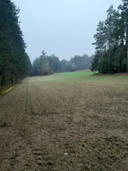 Suche Pachtflächen, Acker, Wiesen