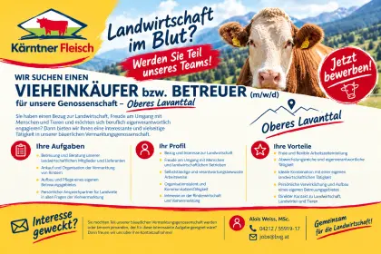 Vieheinkäufer bzw. Betreuer, Großraum Oberes Lavanttal/Pack