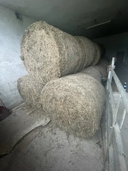 Pferdeheu, Wiesenheu, Bio
