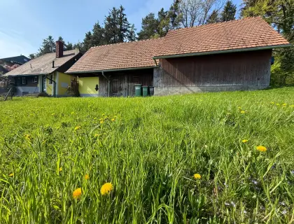 Landwirtschaft, Selbstversorgerhof, evtl. Haus (75 m², 3 Zi.)