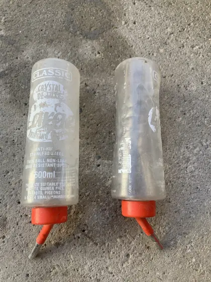 Trinkflasche für Hase