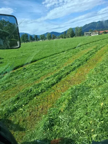 Siloballen zu verkaufen