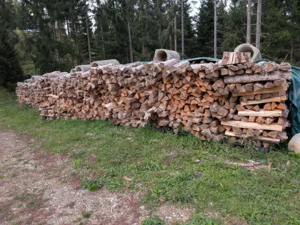 Brennholz