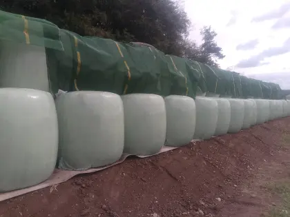 Maissilageballen