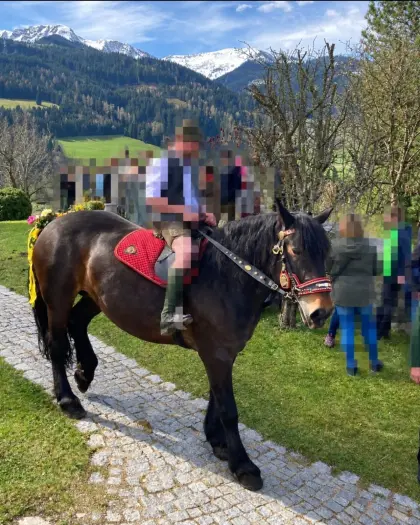 Norikerstute