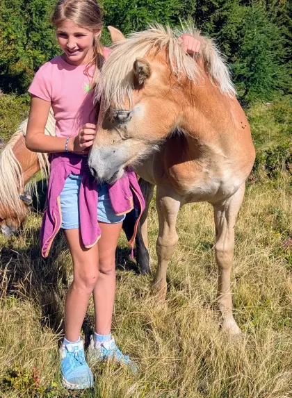 Haflinger-Hengstfohlen mit Herz aus Gold