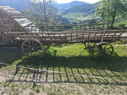 Alter Heuwagen